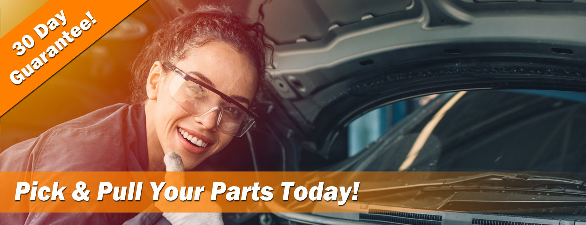 sunshine_you_pull_it_parts_yards_sc_1